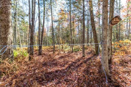 444 Bowenville Road, Troy, Вермонт 05859, Соединенные Штаты