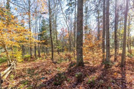 444 Bowenville Road, Troy, Вермонт 05859, Соединенные Штаты