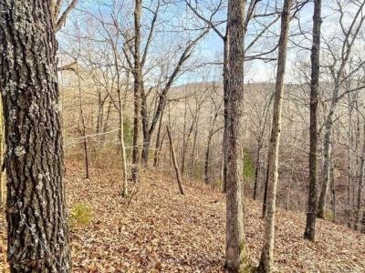 E 950 Road, Cookson, Oklahoma 74427, Estados Unidos