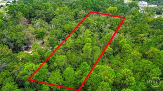 0 & 1 Denise Lane, Hinesville, Georgia 31333, Estados Unidos