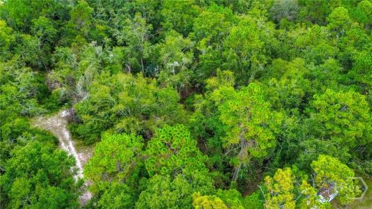 0 & 1 Denise Lane, Hinesville, Georgia 31333, Estados Unidos