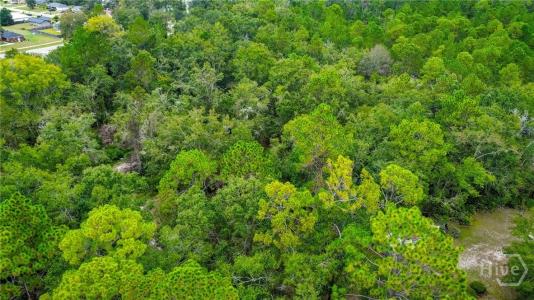 0 & 1 Denise Lane, Hinesville, Georgia 31333, Estados Unidos