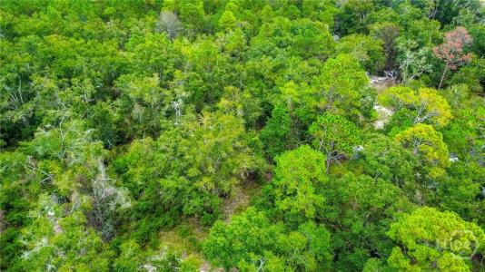 0 & 1 Denise Lane, Hinesville, Georgia 31333, Estados Unidos