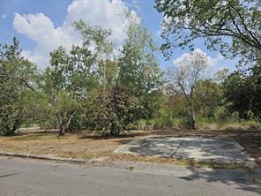 3206 Mcilhenny Street, Houston, Texas 77004