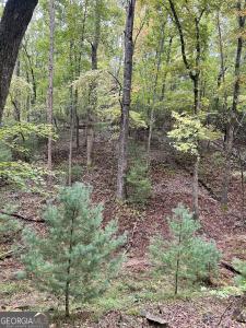 0 Lower Gap Rd., Sautee Nacoochee, Georgia 30571, Stati Uniti