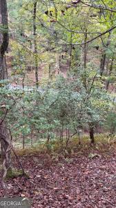 0 Lower Gap Rd., Sautee Nacoochee, Georgia 30571, Stati Uniti