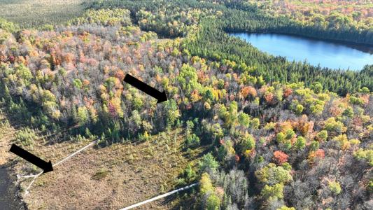 3.71 AC Off Fernwood Dr., Phelps, Wisconsin 54554, États-Unis