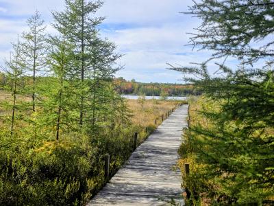 3.71 AC Off Fernwood Dr., Phelps, Wisconsin 54554, États-Unis