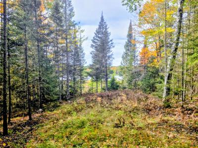 3.71 AC Off Fernwood Dr., Phelps, Wisconsin 54554, États-Unis