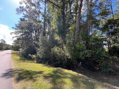 320 Hardison Dr, Arapahoe, 北卡羅來納州 28510, 美國