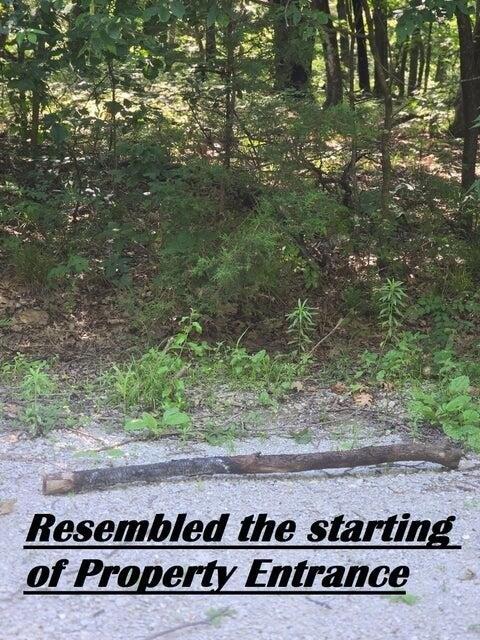 11620 1215, Stockton, ミズーリ 65785, アメリカ合衆国