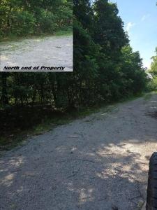 11620 1215, Stockton, ミズーリ 65785, アメリカ合衆国