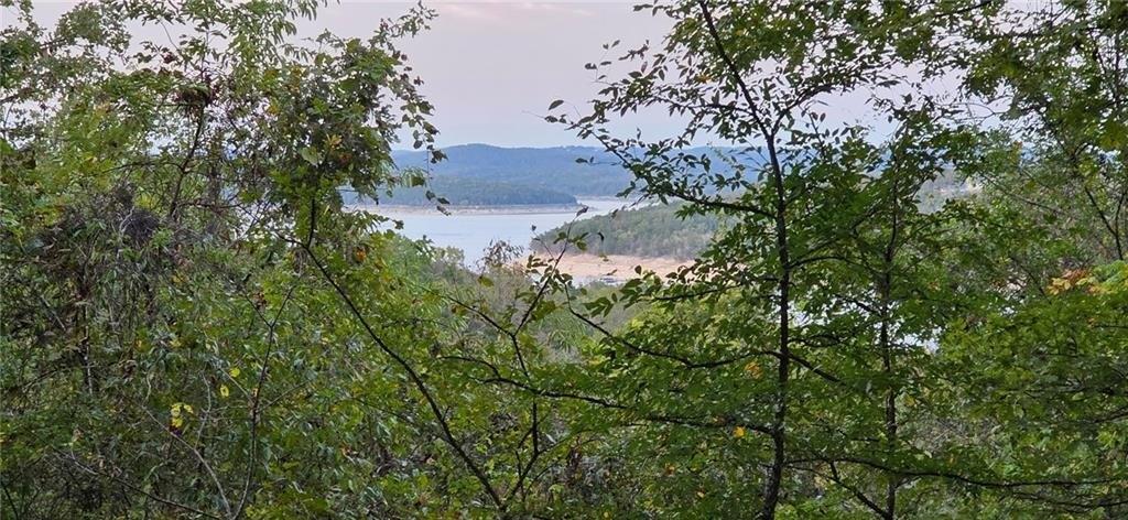 00 Airpark DR, Yellville, 阿肯色州 72687, 美國