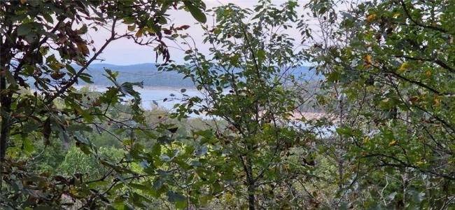 00 Airpark DR, Yellville, 阿肯色州 72687, 美國