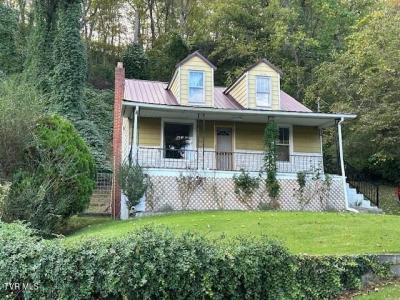 3135 3rd Avenue, Saint Paul, فرجينيا 24283, الولايات المتحدة