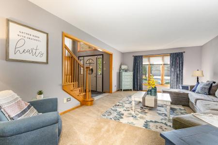 22125 Jasmine Drive, Frankfort, 伊利诺斯州 60423, 美国