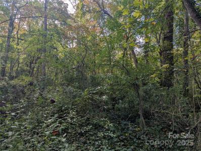 99999 Taft Avenue, Asheville, شمال كارولينا 28803, الولايات المتحدة