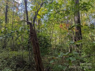 99999 Taft Avenue, Asheville, شمال كارولينا 28803, الولايات المتحدة