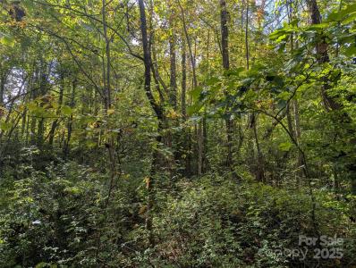 99999 Taft Avenue, Asheville, شمال كارولينا 28803, الولايات المتحدة