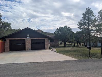 4440 Langstroth Drive, Silver City, Novo México 88061, Estados Unidos