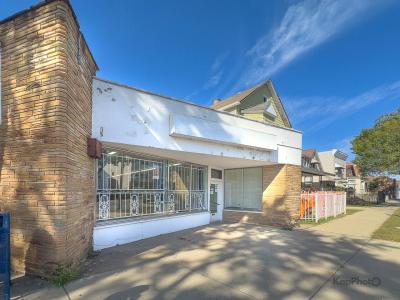 10420-10422 S Ewing Avenue, Chicago, Illinois 60617, USA