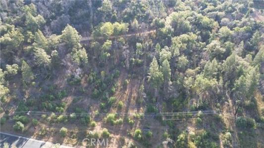 9666 Oro Quincy Highway, Berry Creek, California 95916