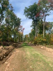 TBD County Road T 6, Dairyland, Wisconsin 54830, USA