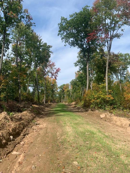 TBD County Road T 6, Dairyland, Wisconsin 54830, Estados Unidos