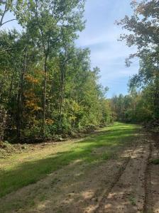 TBD County Road T 6, Dairyland, Wisconsin 54830, Estados Unidos