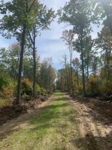 TBD County Road T 4, Dairyland, Wisconsin 54830, HOA KỲ