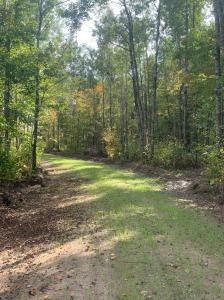 TBD County Road T 3, Dairyland, Wisconsin 54830, Stati Uniti