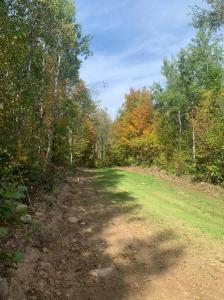 TBD County Road T 2, Dairyland, Wisconsin 54830, Estados Unidos