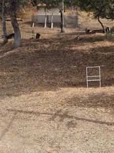 6866 Lakeshore, Lucerne, Kalifornia 95458, USA