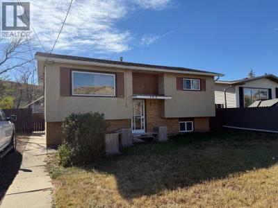103 7 AVENUE SE, Drumheller, Alberta T0J 0Y6, Canada