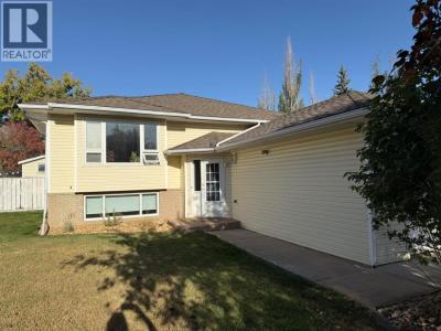 1148 NEWCASTLE ROAD, Drumheller, Alberta T0J 0Y2, Canada