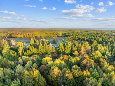 4911 ROUTE 11, Wellington, Prens Edward Adası C0B 2E0, Kanada