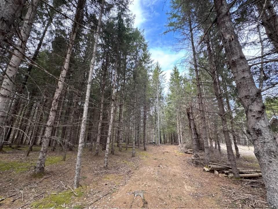 Ch. de Val-Limoges, Mont-Laurier, Québec J9L 3G6, Canada