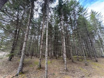 Ch. de Val-Limoges, Mont-Laurier, Québec J9L 3G6, Canada