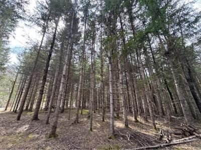 Ch. de Val-Limoges, Mont-Laurier, Québec J9L 3G6, Canada