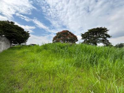 San Rafael Desamparados, San José 00001, Costa Rica