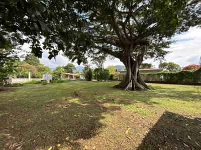 San Rafael Desamparados, San José 00001, Costa Rica