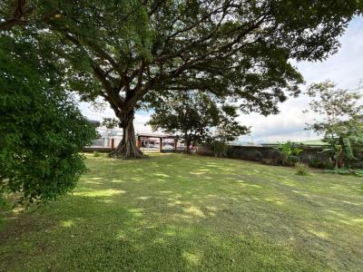 San Rafael Desamparados, San José 00001, Costa Rica