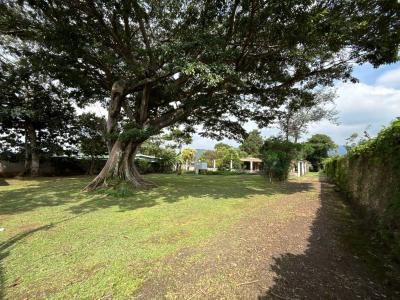 San Rafael Desamparados, San José 00001, Costa Rica