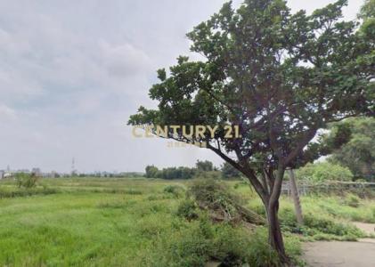 盧興段, 蘆竹區, 桃园 338, 台湾