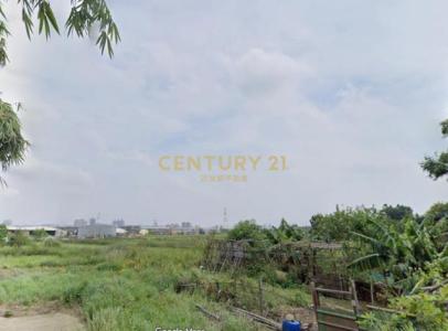 盧興段, 蘆竹區, 桃园 338, 台湾