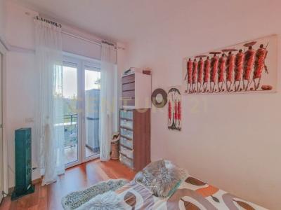 Via Angelo Scarsellini, Verona, Veneto 37100, Italy