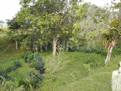 Calima, Valle Del Cauca 760530, Colombia