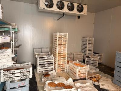 Amadora, Lisbon 2700-488, Portugal