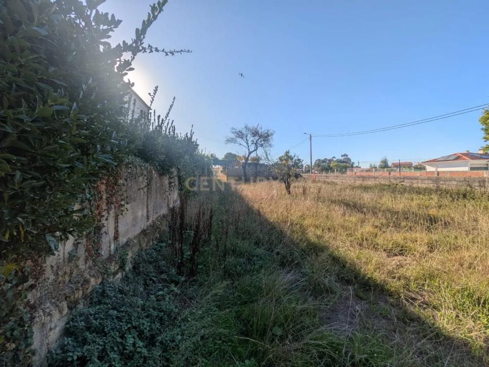 Oliveira Do Bairro, Aveiro 3771-909, Portugal