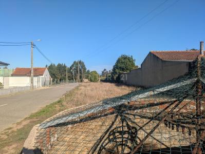 Oliveira Do Bairro, Aveiro 3771-909, Portugal